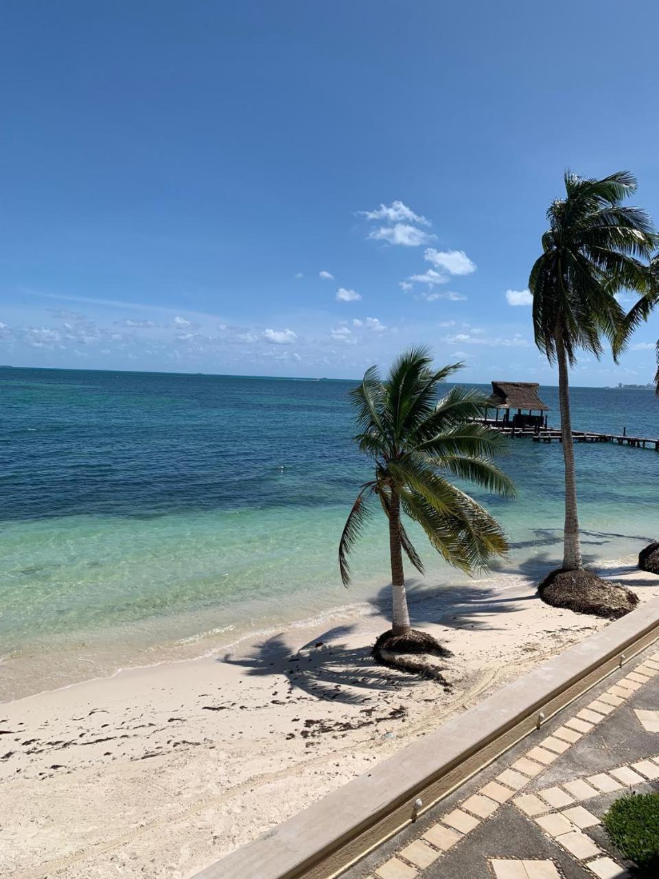 Cancun Ocean View Flamingo Plus Exterior foto