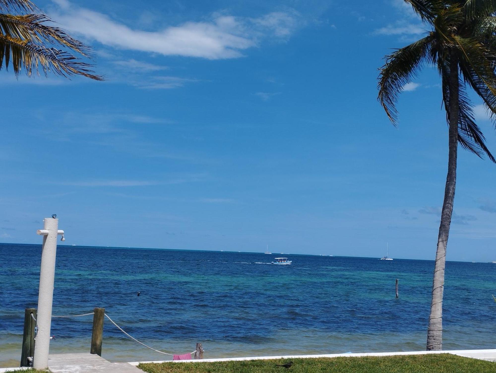 Cancun Ocean View Flamingo Plus Exterior foto